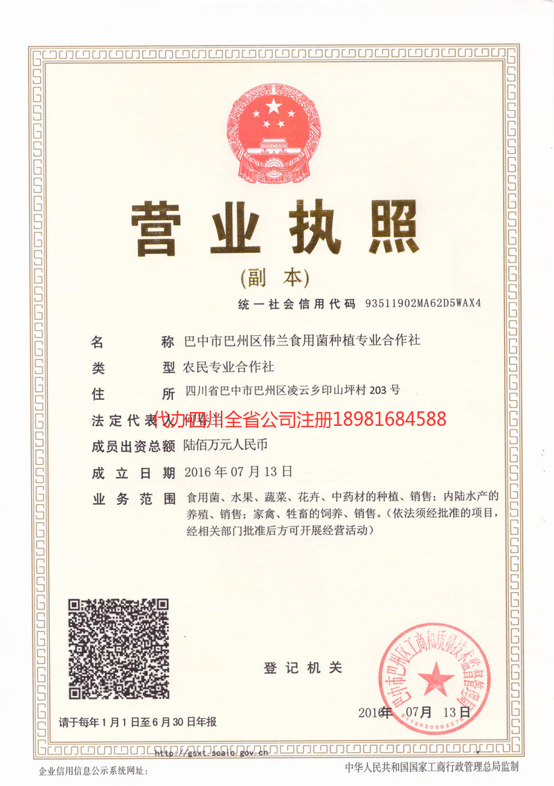 孟州孟州伟兰食用菌种植专业合作社